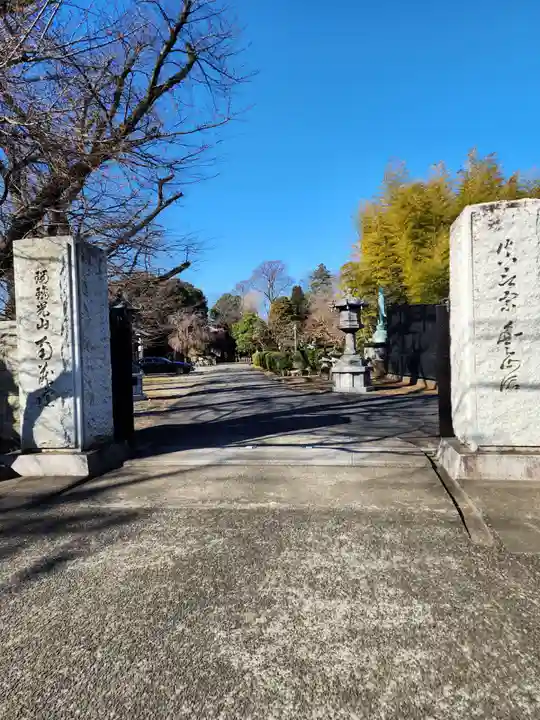 南蔵院(東京都)
