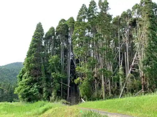 山ノ神神社の景色