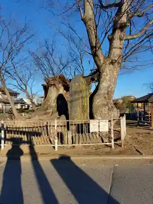 琴平神社(群馬県)