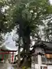小室浅間神社のその他建物