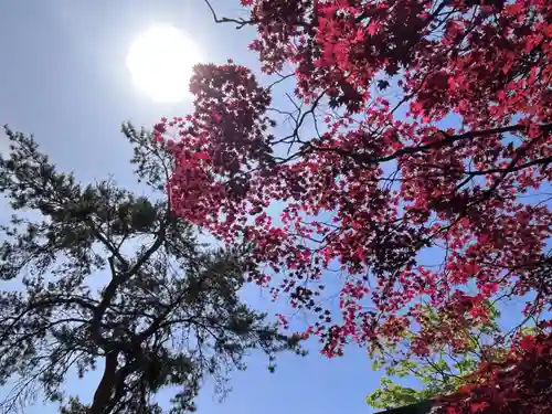 彌彦神社　(伊夜日子神社)の自然