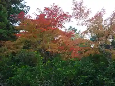 厳島神社(広島県)