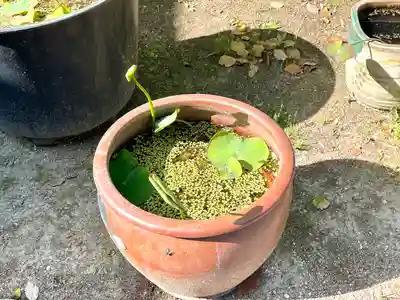 伊勢の国 四天王寺(三重県)