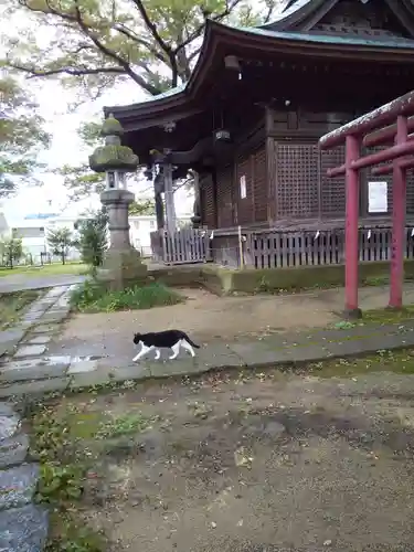 愛宕神社の動物