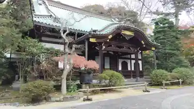 妙本寺(神奈川県)