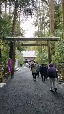 椿大神社の{uncategorized: "未分類", other: "その他", undefined: "問題あり", building: "その他建物", grave: "お墓", sacred_gate: "鳥居", guardian: "狛犬", statue: "像", buddha: "仏像", history: "歴史", nature: "自然", garden: "庭園", animal: "動物", pagoda: "塔", temizu: "手水舎", mountain_gate: "山門・神門", sanctuary: "本殿・本堂", subordinate: "末社・摂社", art: "芸術", scenery: "景色", jizo: "地蔵", ema: "絵馬", goshuin: "御朱印", omikuji: "おみくじ", items: "授与品その他", amulet: "お守り", goshuincho: "御朱印帳", eats: "食事", festival: "お祭り", votive_dance: "神楽", shichigosan: "七五三参", wedding: "結婚式", experience: "体験その他", initially: "初詣", around: "周辺", anti_infection: "感染症対策"}