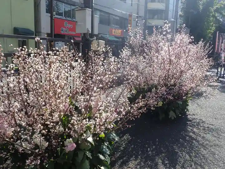 とげぬき地蔵尊 高岩寺の御朱印