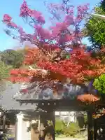 浄光明寺の自然