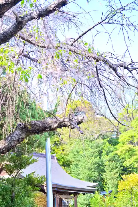 瀬戸神社(神奈川県)