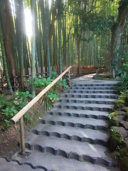 報国寺(神奈川県)