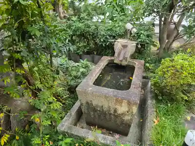 圓通寺(京都府)