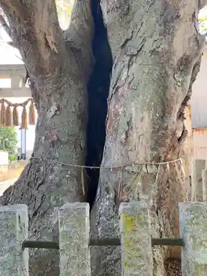 素鵞熊野神社(茨城県)