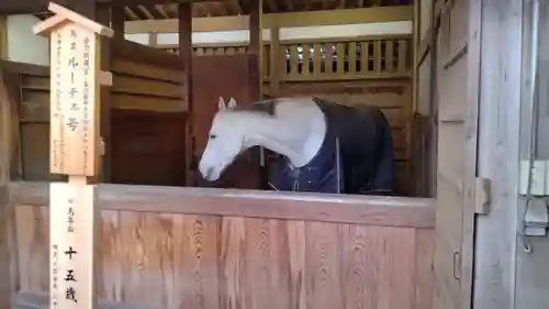 金刀比羅宮(香川県)