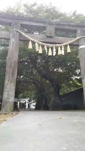 前玉神社の鳥居