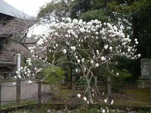 清水寺の自然