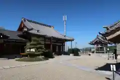 十輪寺(京都府)