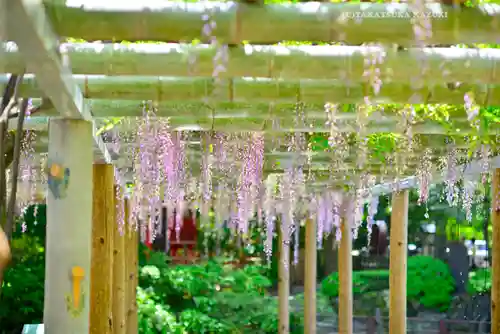越ヶ谷久伊豆神社(埼玉県)