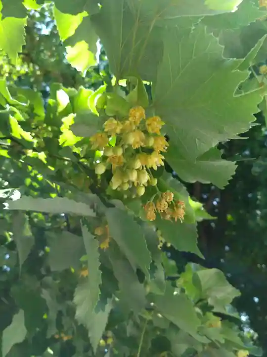 恵光院(福岡県)