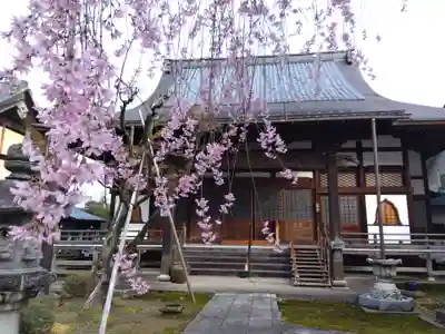 安養寺(福井県)