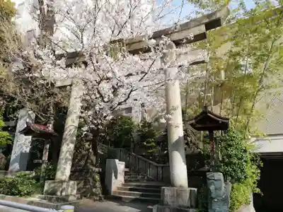 雉子神社の鳥居