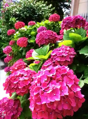 福王山  慈眼寺の自然