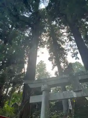 大宮温泉神社(栃木県)
