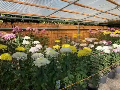 一ノ矢八坂神社(茨城県)
