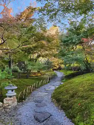 将軍塚青龍殿（青蓮院門跡）(京都府)