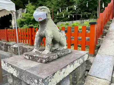 鶴岡八幡宮の狛犬