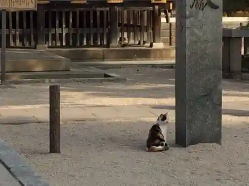 若松恵比須神社 (福岡県)