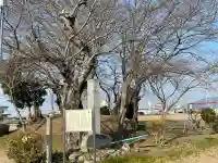 地蔵堂(千僧供古墳 地蔵尊)の{uncategorized: "未分類", other: "その他", undefined: "問題あり", building: "その他建物", grave: "お墓", sacred_gate: "鳥居", guardian: "狛犬", statue: "像", buddha: "仏像", history: "歴史", nature: "自然", garden: "庭園", animal: "動物", pagoda: "塔", temizu: "手水舎", mountain_gate: "山門・神門", sanctuary: "本殿・本堂", subordinate: "末社・摂社", art: "芸術", scenery: "景色", jizo: "地蔵", ema: "絵馬", goshuin: "御朱印", omikuji: "おみくじ", items: "授与品その他", amulet: "お守り", goshuincho: "御朱印帳", eats: "食事", festival: "お祭り", votive_dance: "神楽", shichigosan: "七五三参", wedding: "結婚式", experience: "体験その他", initially: "初詣", around: "周辺", anti_infection: "感染症対策"}