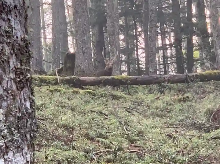 七面山敬慎院のその他建物