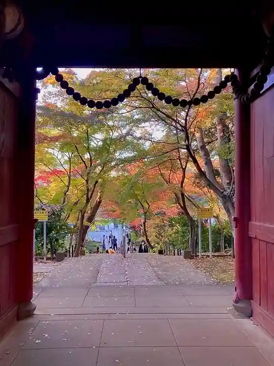 本土寺(千葉県)