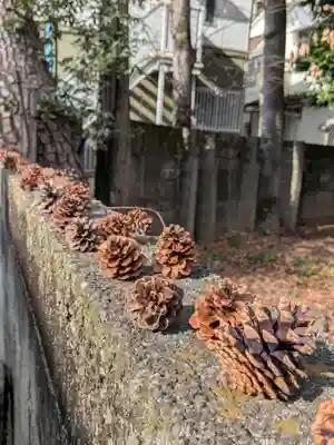 高円寺天祖神社(東京都)