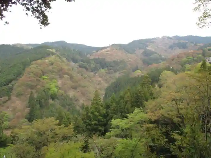 𠮷水神社(吉水神社)の景色