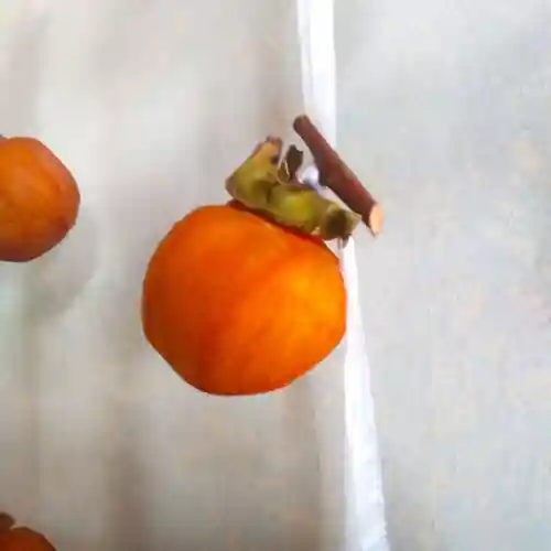 七重浜海津見神社(北海道)