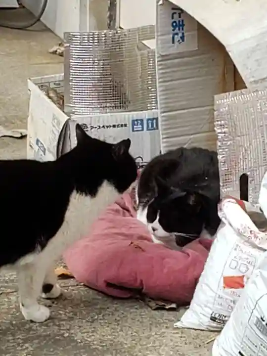 白金氷川神社(東京都)
