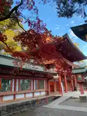 武蔵一宮氷川神社(埼玉県)