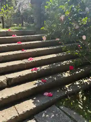 安國論寺（安国論寺）の{uncategorized: "未分類", other: "その他", undefined: "問題あり", building: "その他建物", grave: "お墓", sacred_gate: "鳥居", guardian: "狛犬", statue: "像", buddha: "仏像", history: "歴史", nature: "自然", garden: "庭園", animal: "動物", pagoda: "塔", temizu: "手水舎", mountain_gate: "山門・神門", sanctuary: "本殿・本堂", subordinate: "末社・摂社", art: "芸術", scenery: "景色", jizo: "地蔵", ema: "絵馬", goshuin: "御朱印", omikuji: "おみくじ", items: "授与品その他", amulet: "お守り", goshuincho: "御朱印帳", eats: "食事", festival: "お祭り", votive_dance: "神楽", shichigosan: "七五三参", wedding: "結婚式", experience: "体験その他", initially: "初詣", around: "周辺", anti_infection: "感染症対策"}