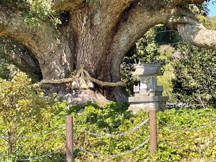 クスの森若宮神社(山口県)