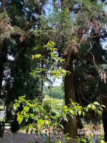 大宮温泉神社(栃木県)