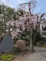 普明寺(東京都)