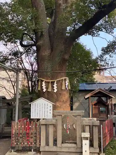 天神ノ森天満宮の末社