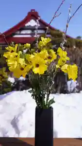 伊達神社(北海道)(2022年02月27日(日) 18時43分06秒投稿)