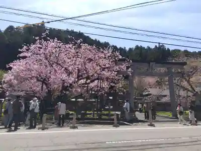 春日神社(京都府)