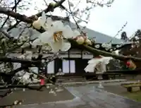 満徳寺(群馬県)