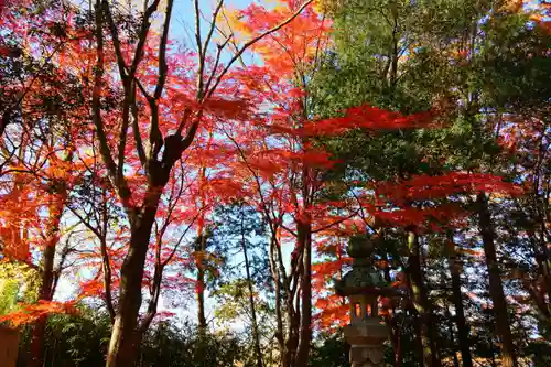 國祖神社の自然