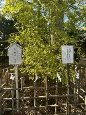 一言主神社(茨城県)