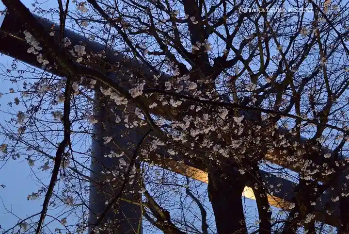 靖國神社(東京都)