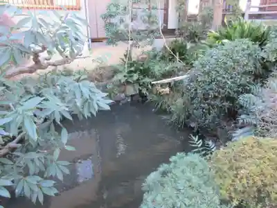 蟠龍寺(東京都)